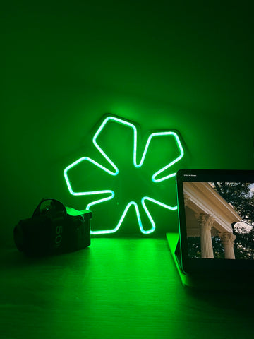 LED neon "Chestnut"