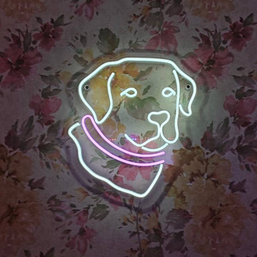 LED-неон «Лабрадор»