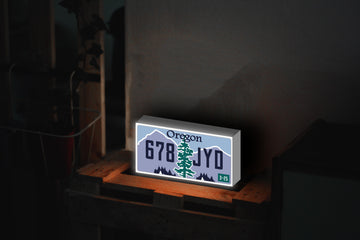 Lamp "Oregon License Plate"