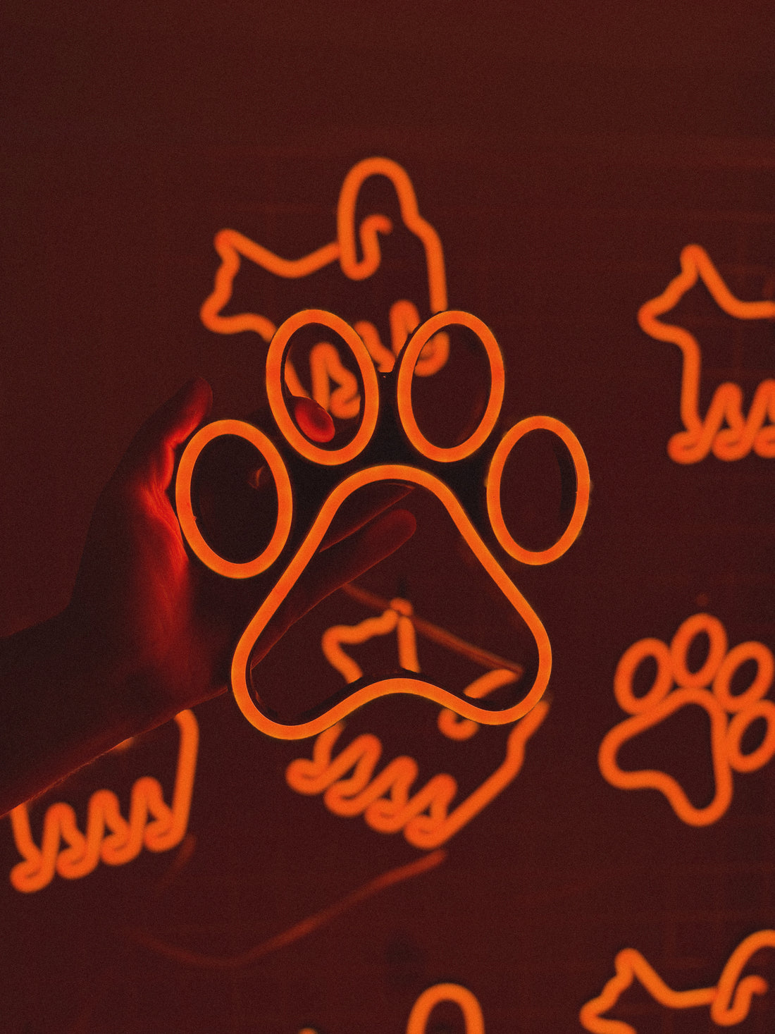 LED-неон «Лапка (у чорному профілі)»