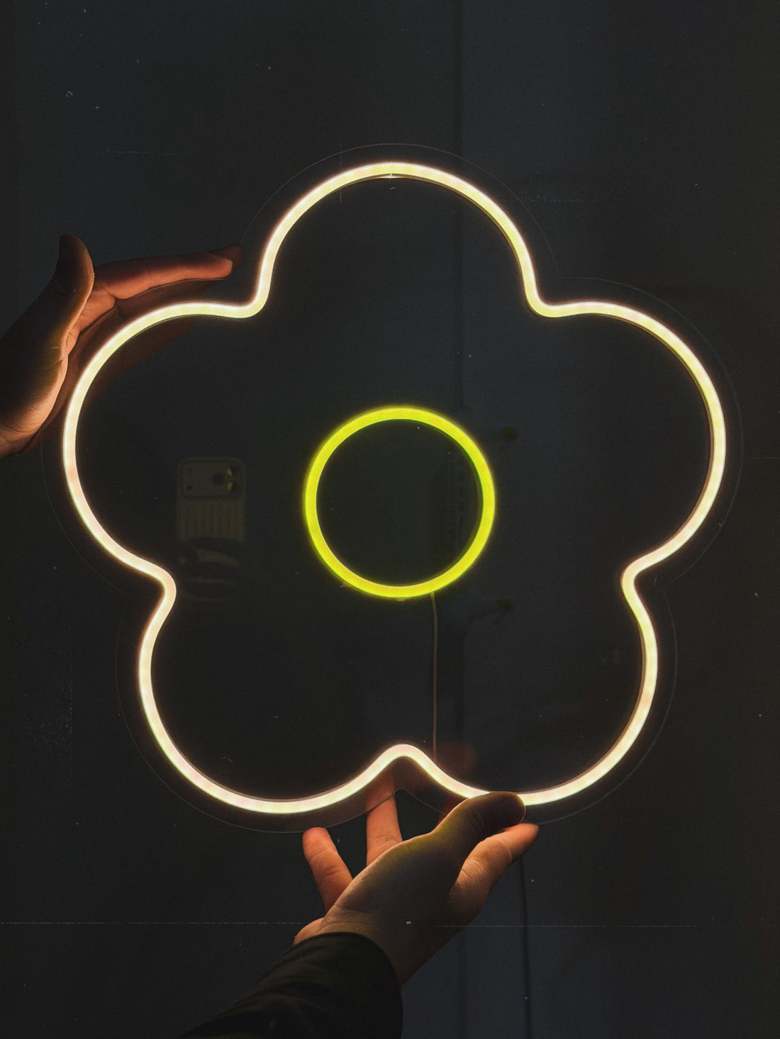LED neon "Chamomile / Daisy"