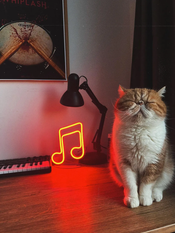 LED-неон «Музична Нота»