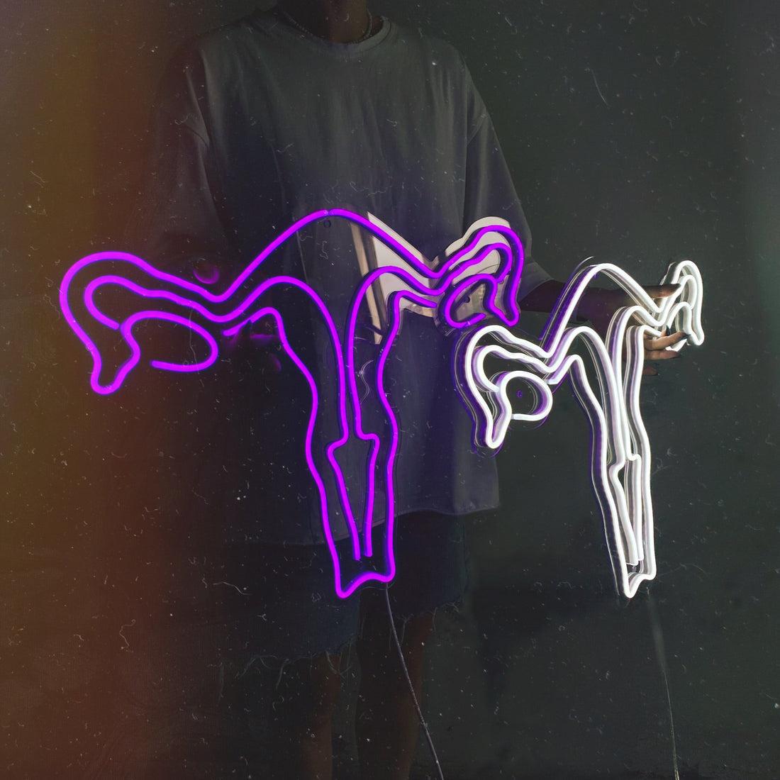 LED-neon "Uterus" (Womb)