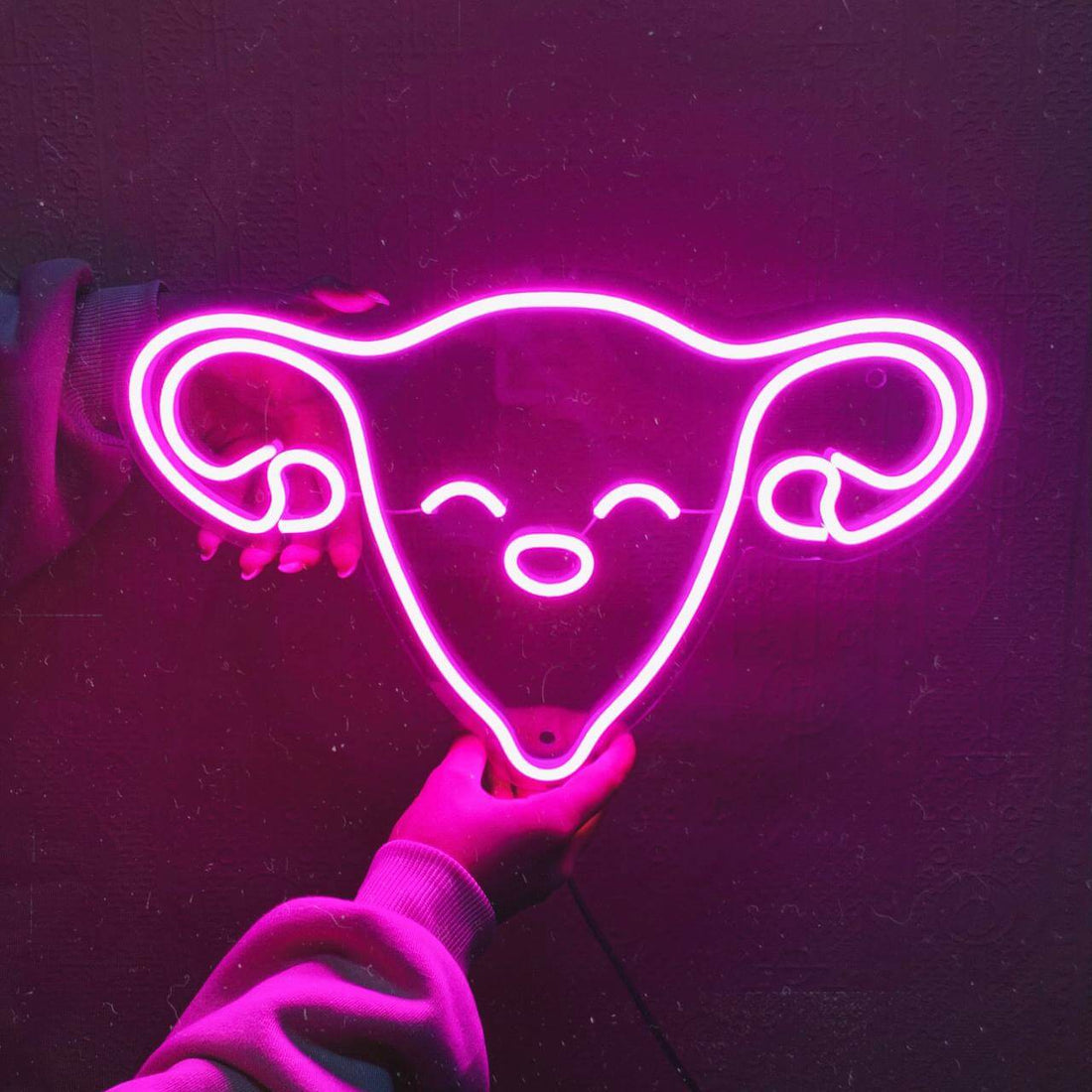LED-neon "Cuterus" (Uterus / Womb)